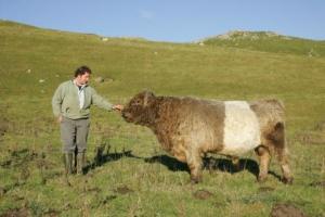 Malhamdale Belted Galloway, Neil Heseltine
