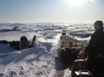 Bringing in the Sheep, Snow, Malham, Yorkshire Dales