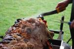 Yorkshire Dales Hogroast