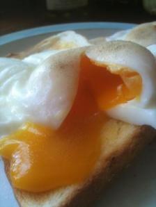 Poached egg on toast
