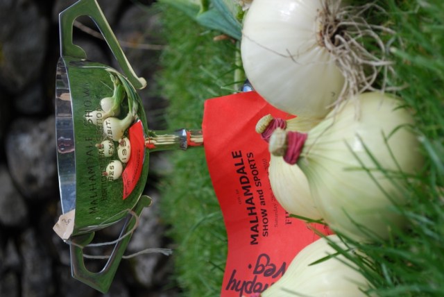 malham show horticultural cup