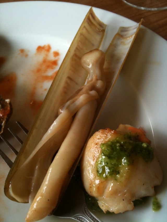 razor clams and scallops