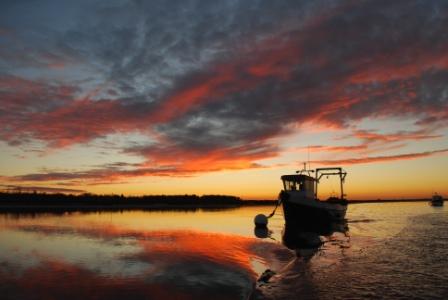 Colchester Oyster Fishery