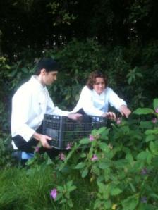 Stephanie Moon Wild Foraging Nettles