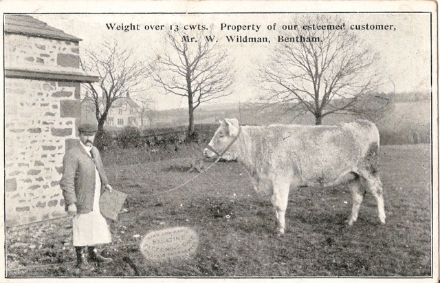 Palatine Cake W Wildman 3 Palatine Cake W Wildman