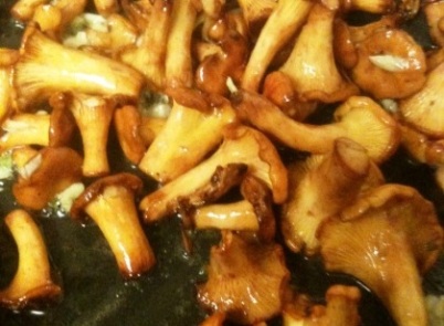 girolle-mushrooms
