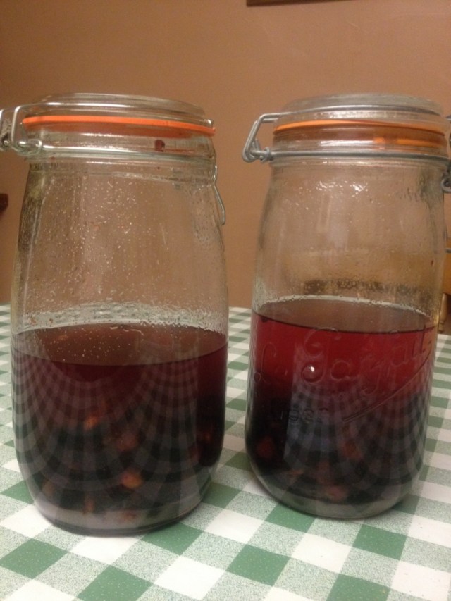 bottled sloe gin