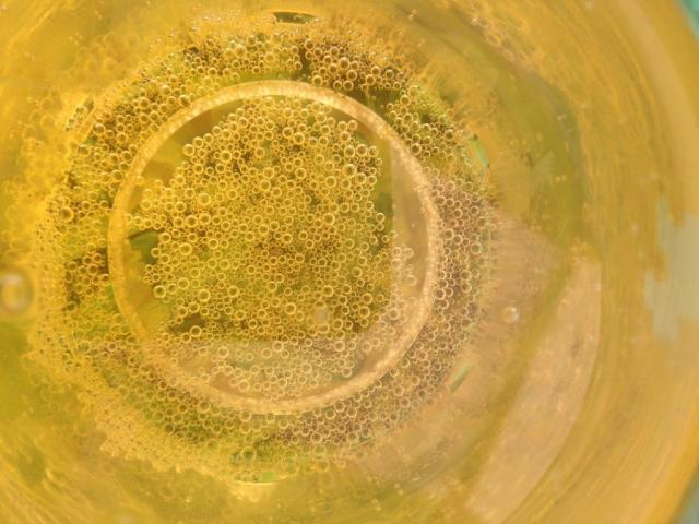 New York Cider Kirkstall Brewery Leeds Loves Food