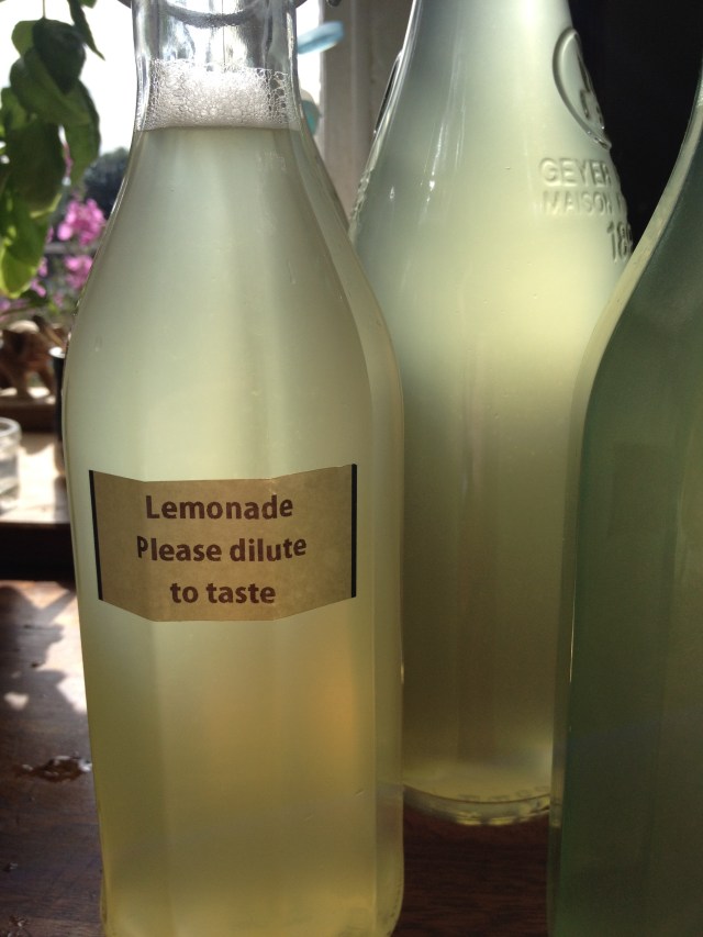 homemade lemonade