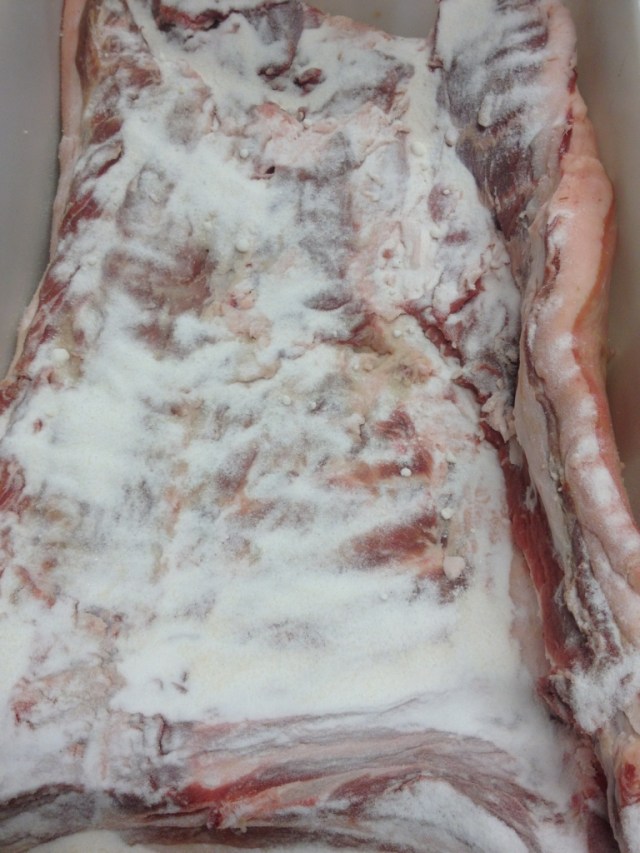 dry bacon curing