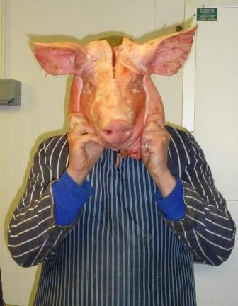 Who is this pig man?